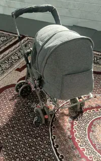 کالسکه در حد
