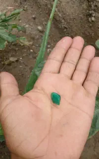 سنگ قیمتی
