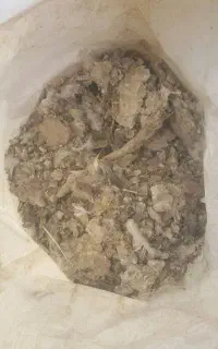 زل کبوتر (کود کبوتر) مخصوص باغ و باغچه