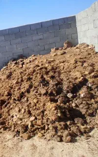 کود گوسفندی