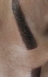 فیبروز ابرو و شید لب