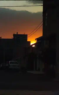 خدمات ادیت