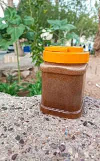 معجزه رو ببین