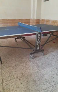 میز پینگ پنگ