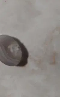 نگین انگشتر