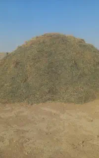 کاه علف و سبزی خشک