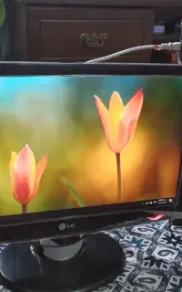 کامپیوتر خونگی