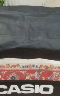 ارگ کاسیو