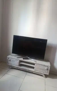 تلویزیون