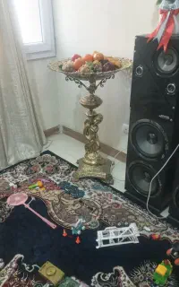 میوه خوری ایستاده سالم