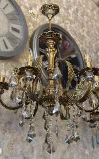 لوستر مرغابی