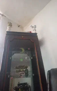 ترانس با بوفه
