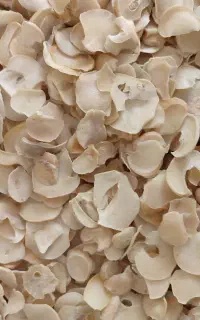 موسیر اعلا وخوش عطر وبو