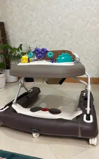 روروئک،کالسکه