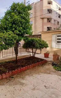خدمات باغبانی پاکنی کاشت کودسمپاشی هرس اجراقطره ای