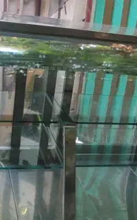 یخچال ویترینی