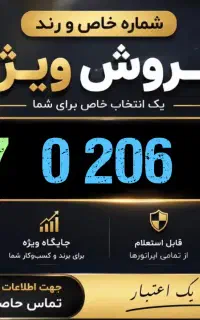 0917.0.206.208