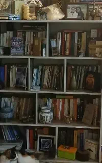 تدریس خصوصی توسط خانم مجرب