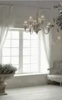 همکاری عکاسی