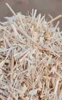 ارزانترین*/کاه / سیفال گندم / گوسفندی وگاوی