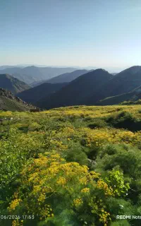 گردش ‌و گشت کمپین