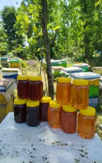 عسل طبیعی