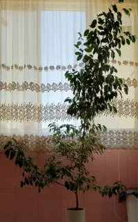 بنجامین سالم مناسب اداره‌ و کار