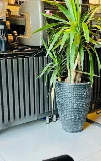 کابینت ام دی اف کانتر