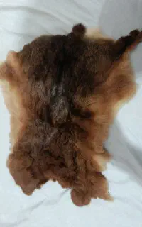 پوست طبیعی خرگوش