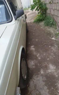 وانت
