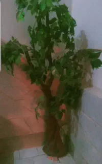 درختچه مصنوعی