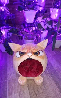 جای خواب گربه، لونه گربه دستساز