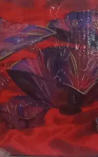 سرویس پذیرایی ۶ نفره