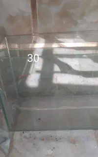 اکواریوم