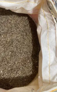 زیره کوهی اصل بشاکرد