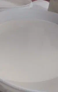 شیرگاو