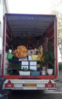 اساس کشی