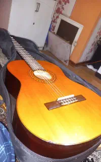 گیتار همراه با کاور
