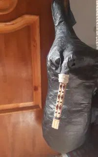 نی انبان