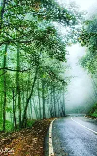 تور۱روزه جمعه۱خرداد ارسباران با جایزه و موسیقی