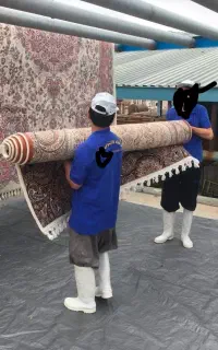 کارگر قالیشویی باتجربه