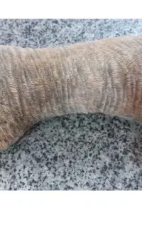 خیک