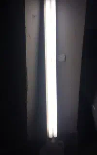 مهتابی جفت دوتایی سالم پنج عدد موجود هست