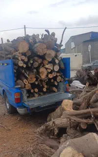 خرید چوب قطع درخت و هرس