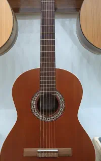 گیتار پارسی p40