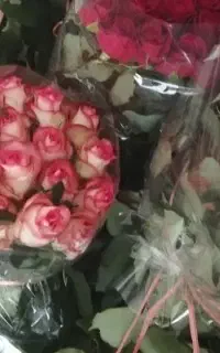 فروش گل گلخانه ای طبیعی بصورت تک و عمده