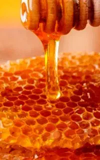 فروش انواع عسل طبیعی با خواص درمانی