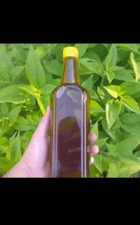 روغن زیتون