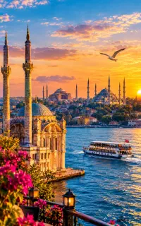 تور ویژه استانبول