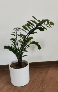 گلدان